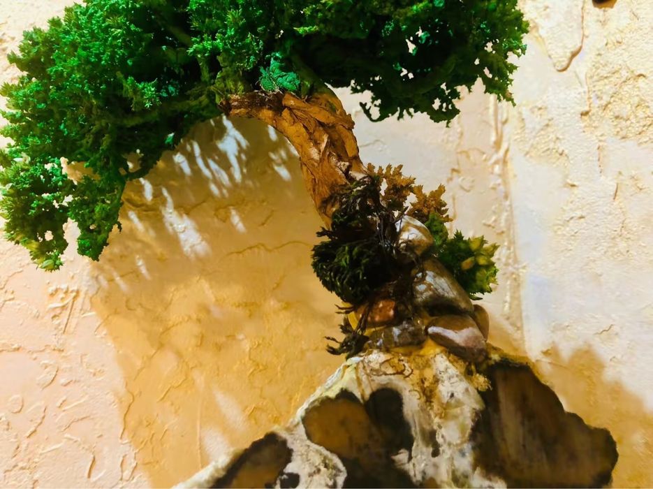 Бансай на агате дизайнерская работа