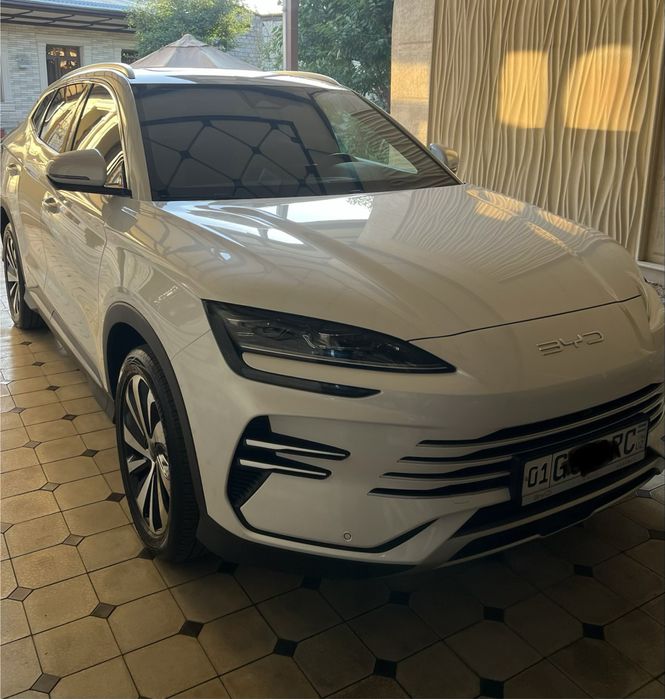 Byd champion gibrid 150 oq afitsalniy