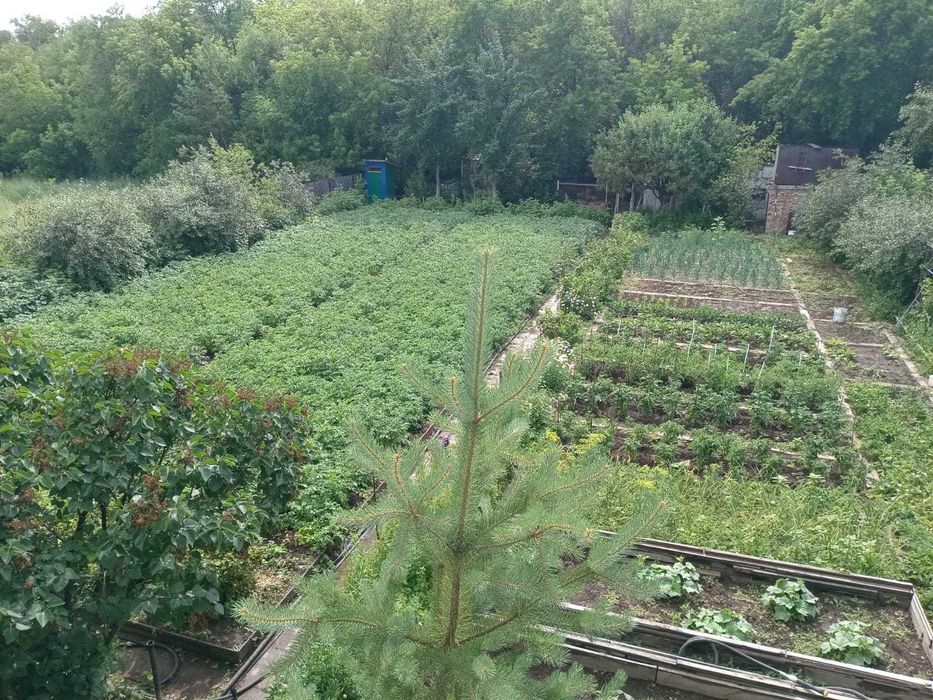 Продаётся ДАЧА  11 соток