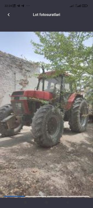 CEES magnum sotiladi