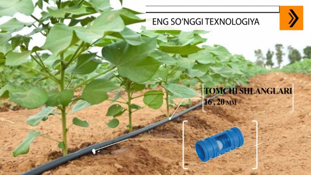 Yomgʻir-Tomchi-Diskret-Tumanlash-sug‘orish:Ertani bugungi yechimi