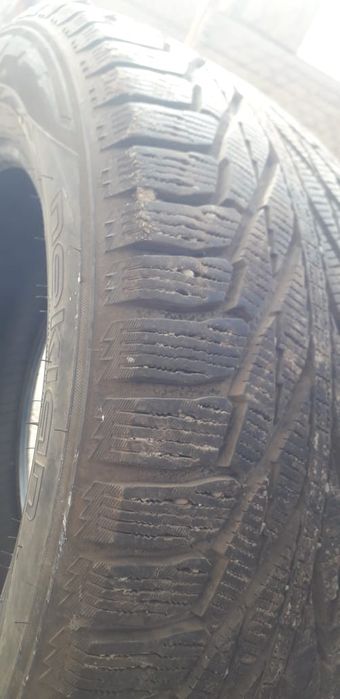 Автомобильные шины