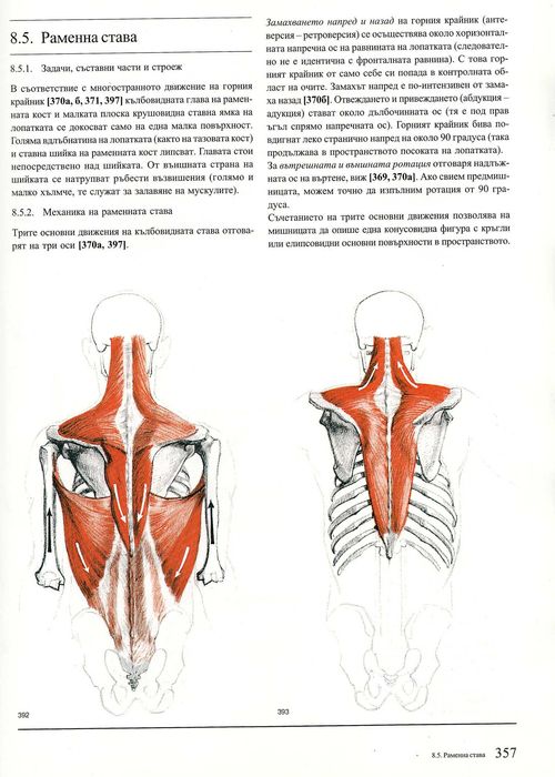 Годфрид Бамес - Човешкото тяло - учебник по пластична анатомия