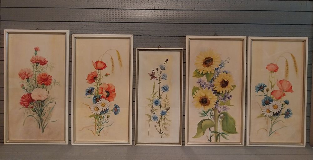 Colecție 5 acuarele botanice originale (1961–1962), semnate, înrămare originală