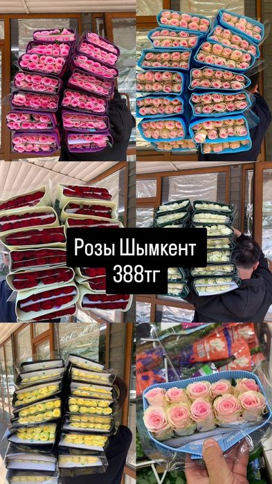 Оптом Розницу розы пионы цветы букеты