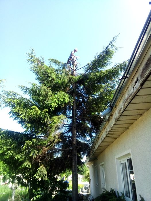 Alpinist utilitar izolatii exterioare cu polistiren