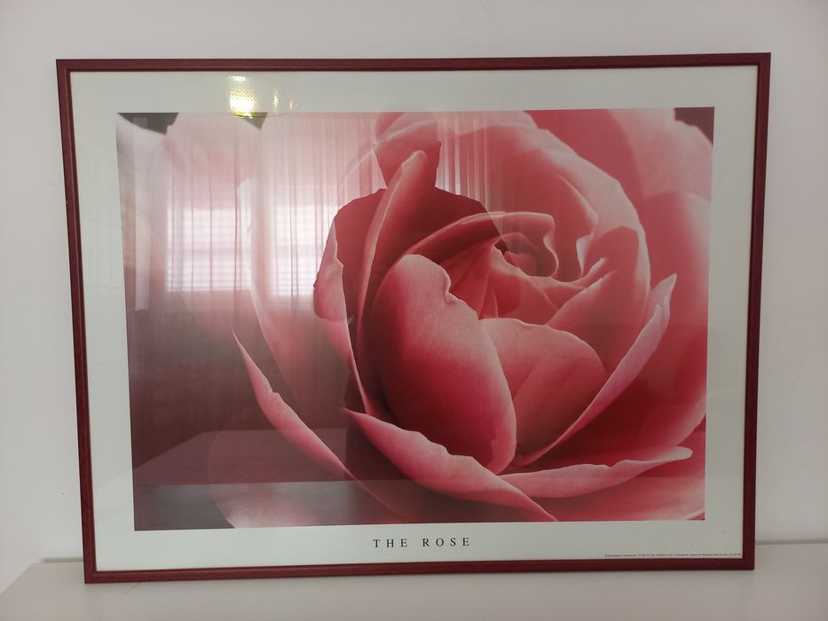 Tablou Poster Original-Printed in Italy