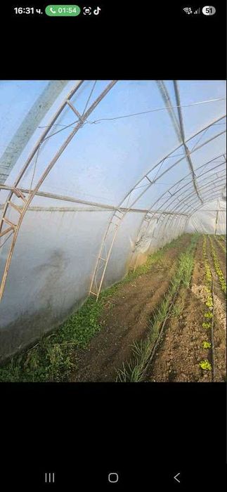 Оранжерии на  3г. + найлон