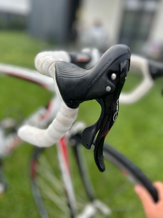 Cursieră Olympia Speedy Race AL7005DB, Campagnolo Veloce, Carbon, 54
