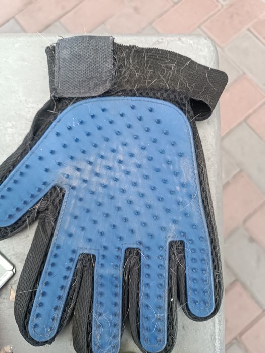 Гигиена для кошек или собак