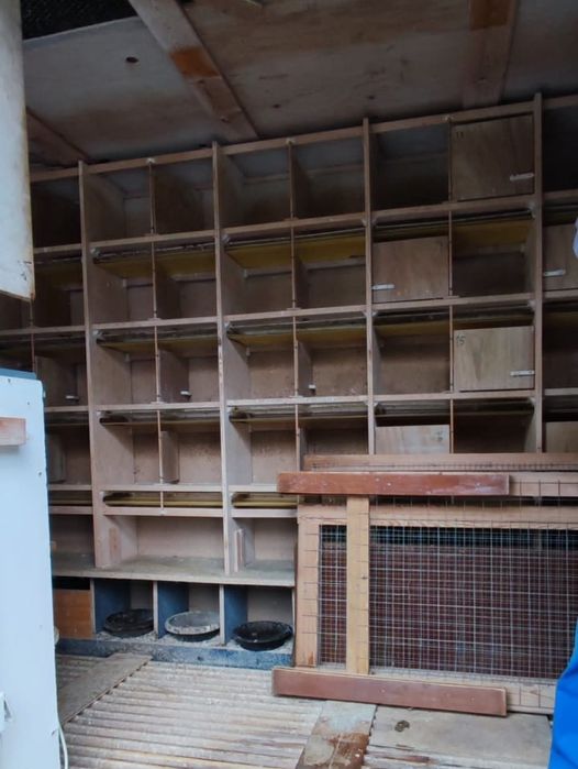 Boxe pentru porumbei cu bandă