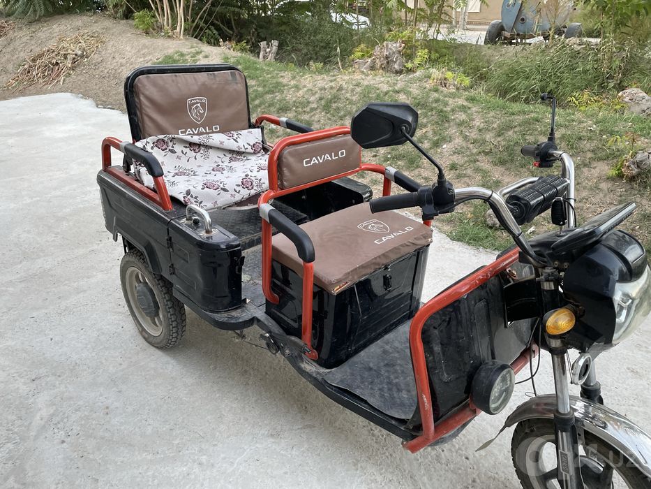 Motoskil elektro.