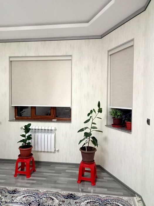 Jaluzi parda dikiy plise