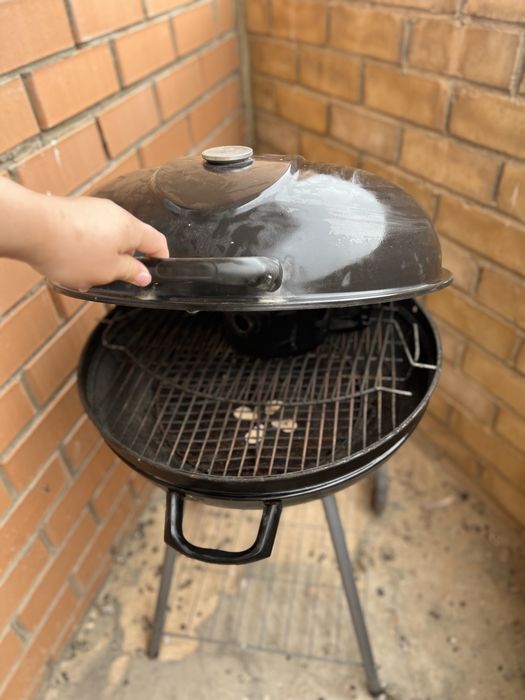 Продам монгалы