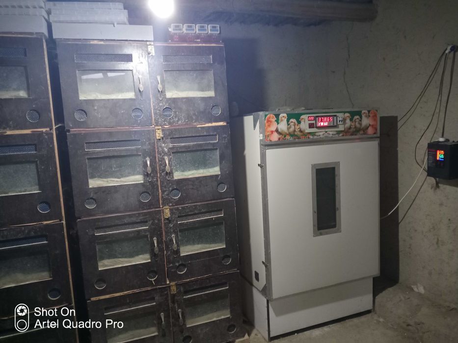 Инкубатор сотилади