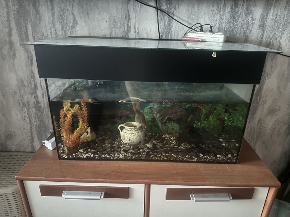 Продам аквариум 80 литров
