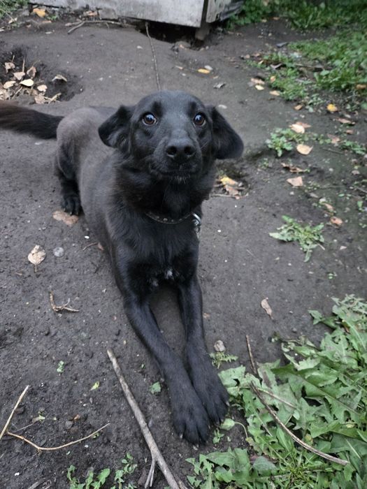 Продается в дом в Опытном поле