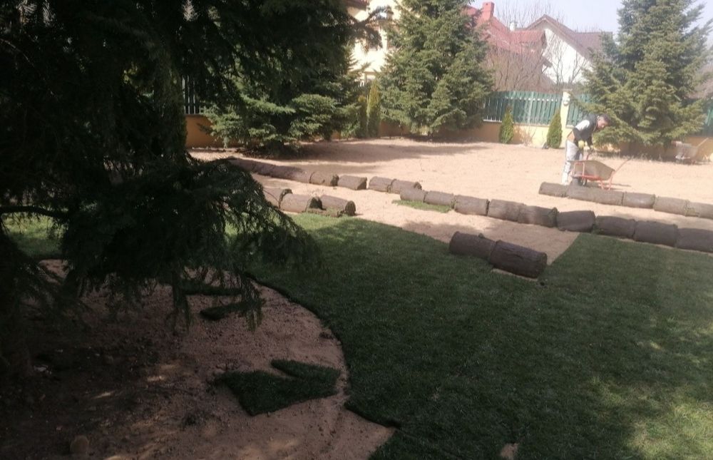 Gazon rulou de trafic 24 de lei m2.Transport și montaj inclus în preț.