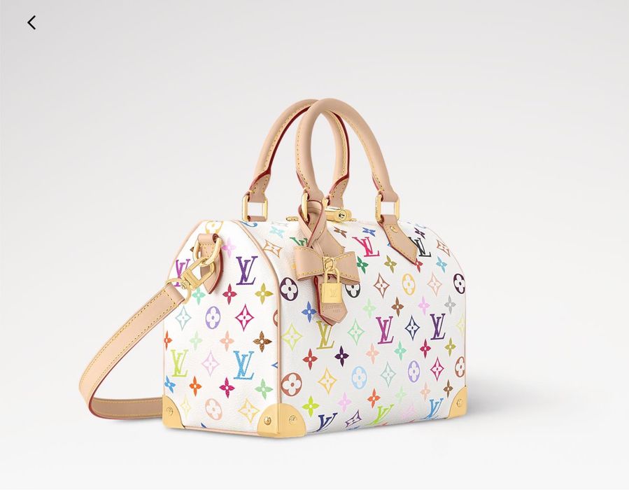 Сумка LV Louis Vuitton Speedy 25