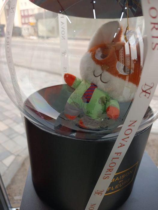 Цветы шары для ваших любимых