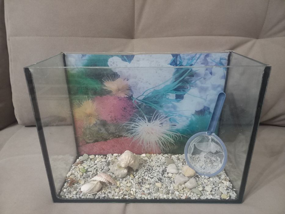 Продам  аквариум 10л