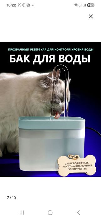 Поилка для кошек