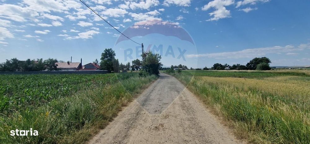 De vânzare teren 10.001 mp sat Oniscani, comuna Filipești