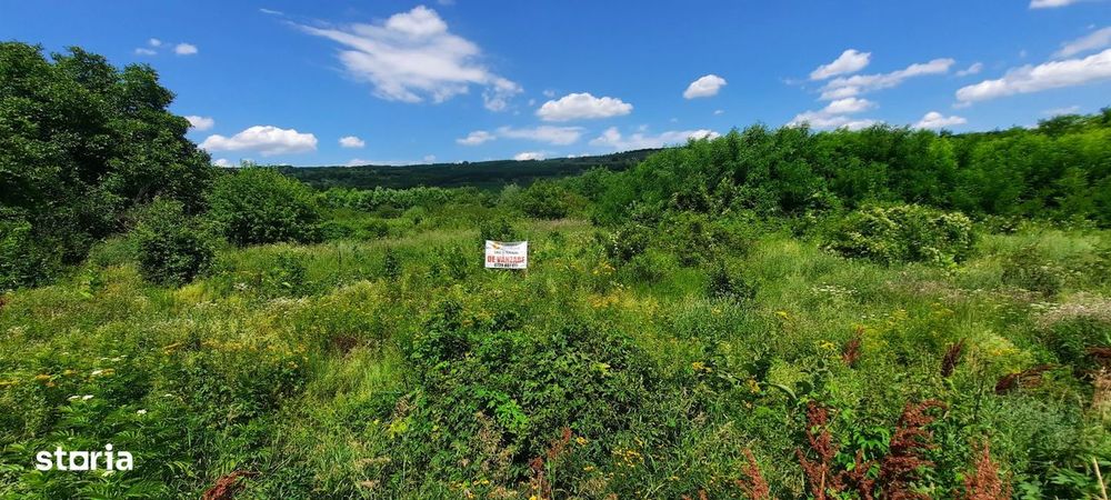 Teren Intravilan  Tomesti,Osoi,2800 Mp - 49.500 Euro