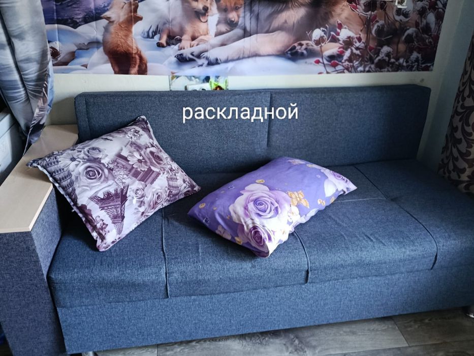 Продам телевизор.морозильная камера.диван