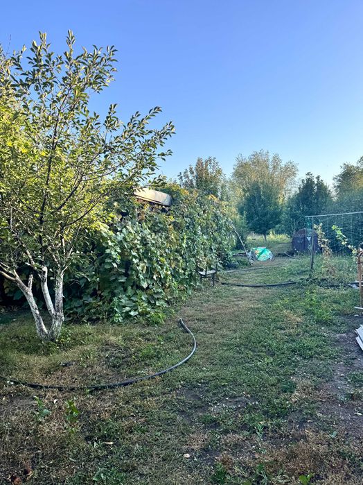 Продам дачу Восход в хорошем месте