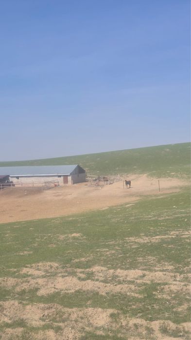 Продам фазенду 100 гектара