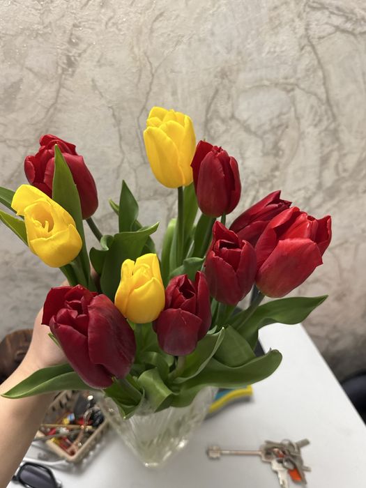 Продам свежие тюльпаны