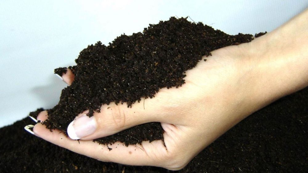 Biyogomus Tabiy ozuqa