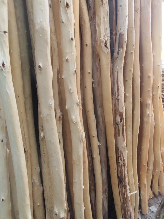 Terak mahsulotlari bor istalgan razmerlarda qilib beramiz.va olamiz