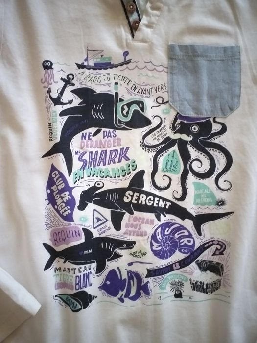 Лот момче  146 152 риза , пуловер , блуза ,