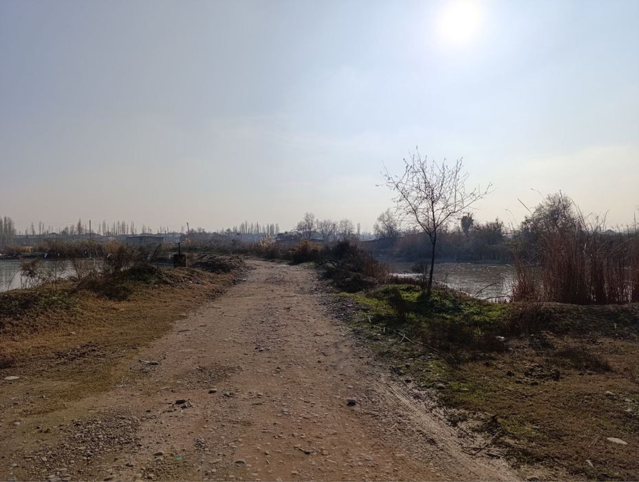 Ишлаб чикаришнинг барча тармоклари учун мулжалланган ер майдони