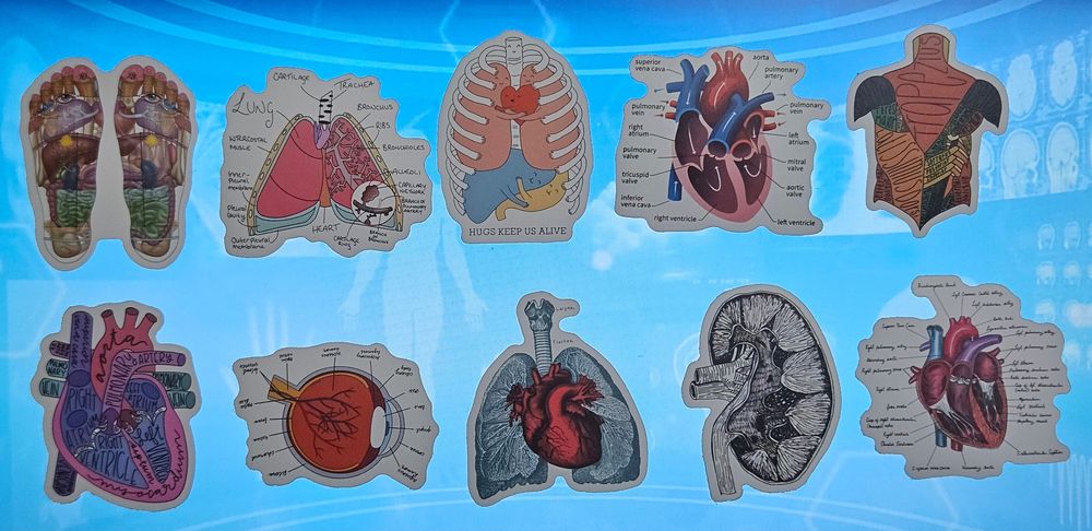 Стикери анатомия/котки/кафе/държави