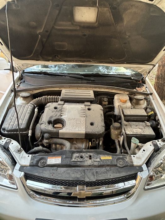 Продается Лассети