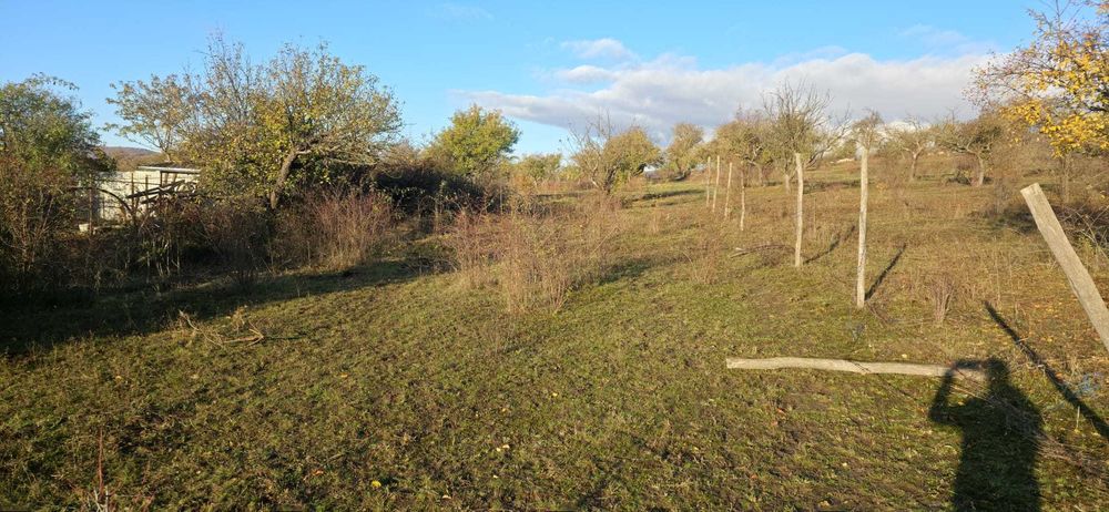 Teren extravilan 1450 m2  Valea Crișului spre Călnic