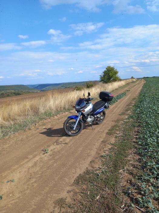 Suzuki XF650 1800 €