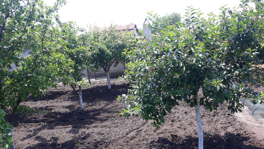 Продава се Парцел в с. Безмер, Област Ямбол - 850 кв.м за 21 €/кв.м - Снимка #3