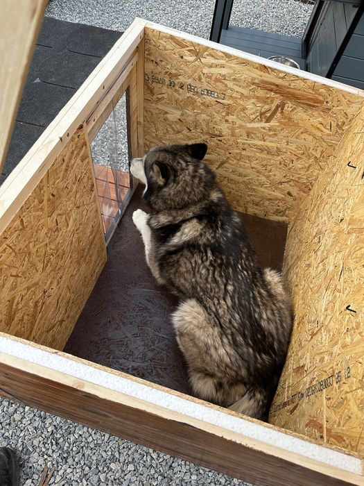 Cușcă pentru câine de lux cu terasă și acoperiș plat/încălzire