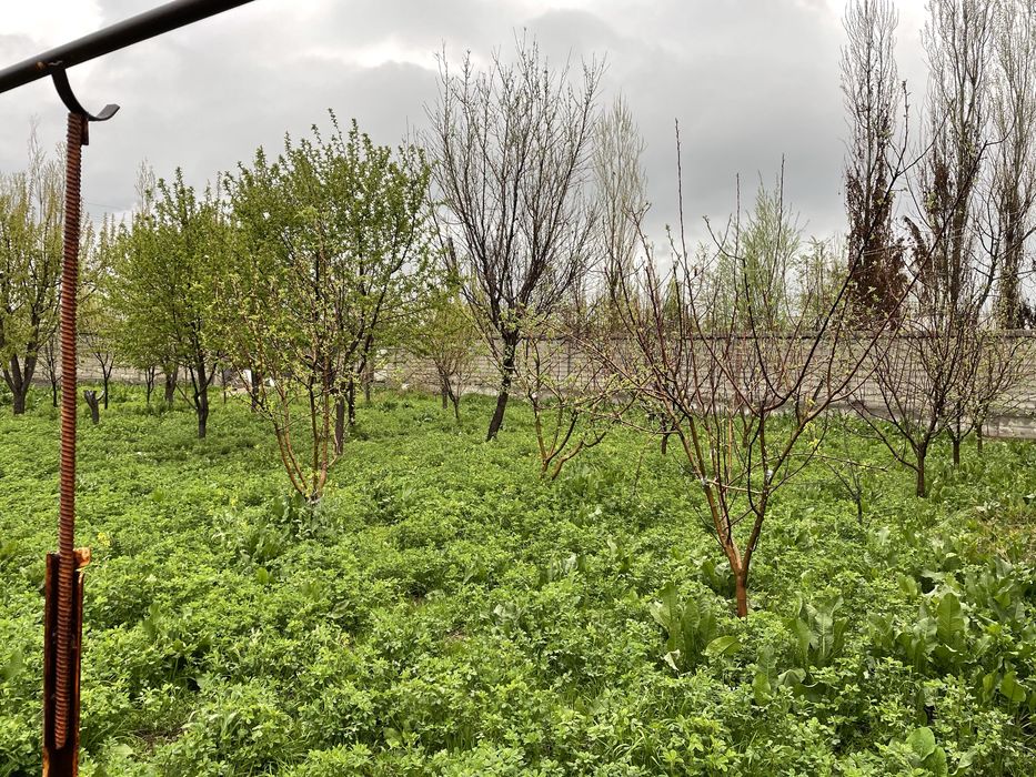 Продается Дом+участок