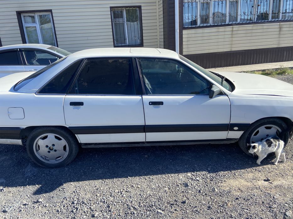 Audi 100 C3 1989