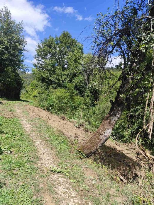 Продава се Парцел в Троян - 600 кв.м за 17 €/кв.м - Снимка #3