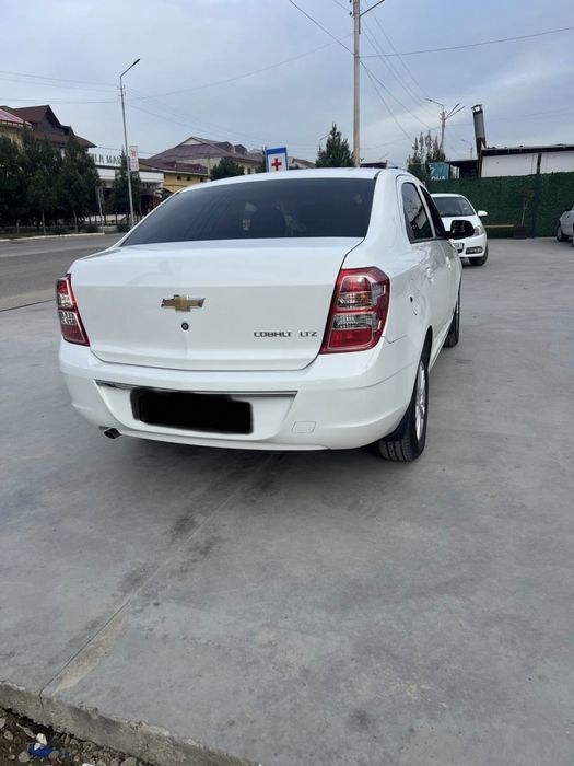 Cobalt 2024 Avgust Kraska toza