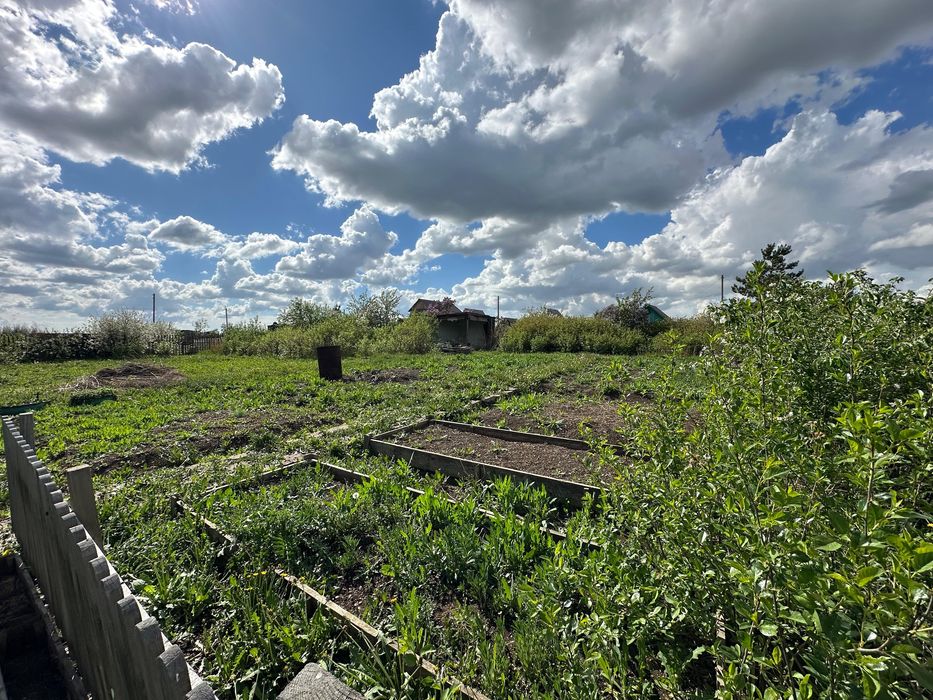 Дача 12 соток с насаждениями