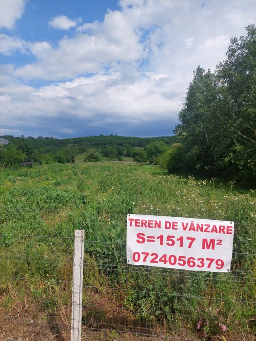 Curtișoara teren intravilan 1517 mp la stradă principală, preț excelent