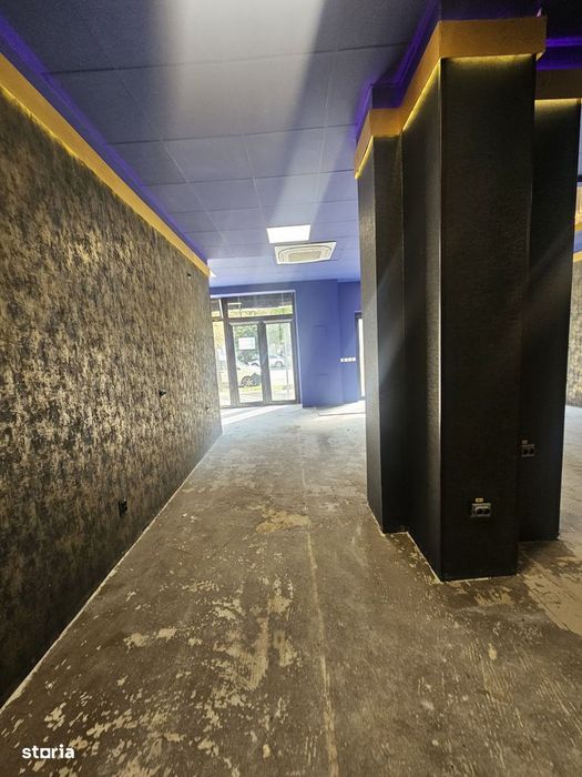 Spatiu Pacurari Bulevard