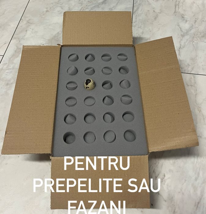 Cutii cu burete pentru transport oua de incubat